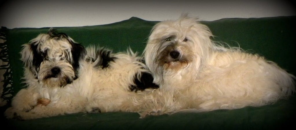 Angelca in Fleki 2014