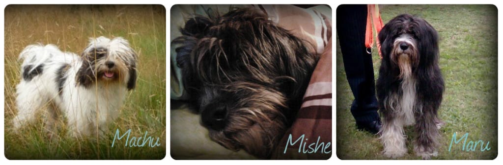 collage M fantje 2014