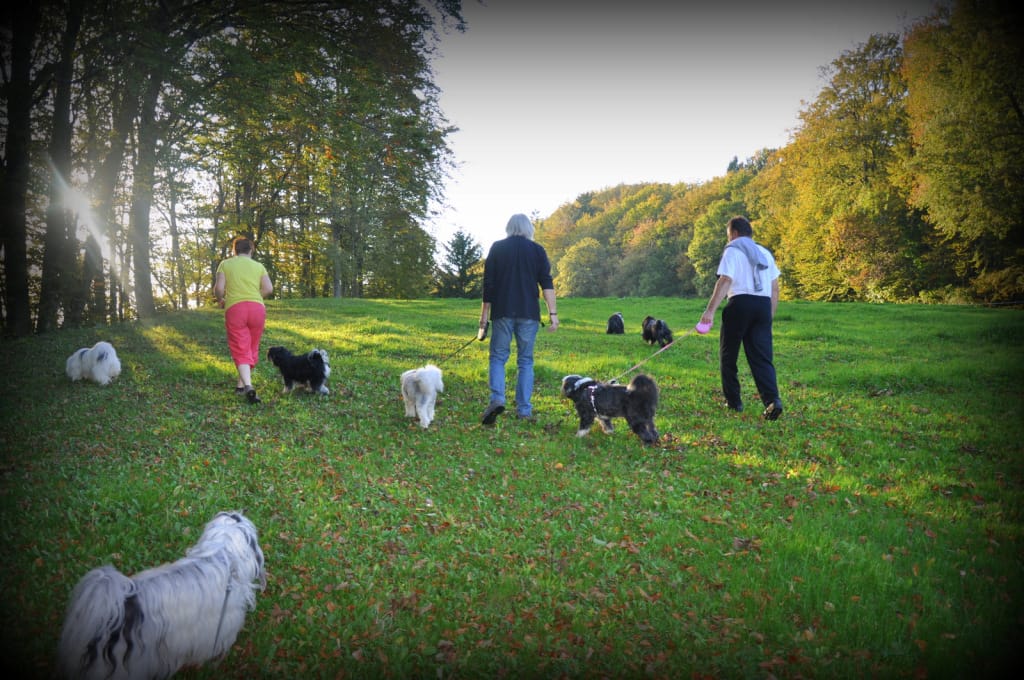 večerni sprehod vanja