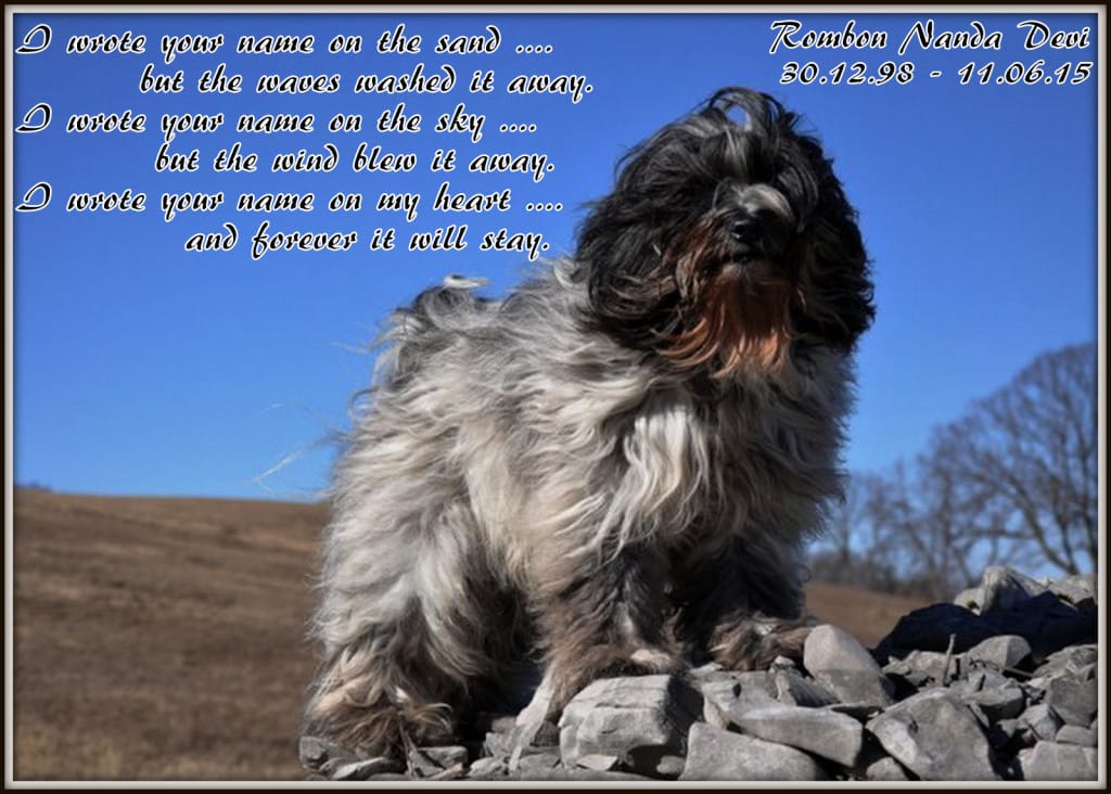 I wrote your name on the sand .... but the waves washed it away.           I wrote your name on the sky .... but the wind blew it away.           I wrote your name on my heart .... and forever it will stay.