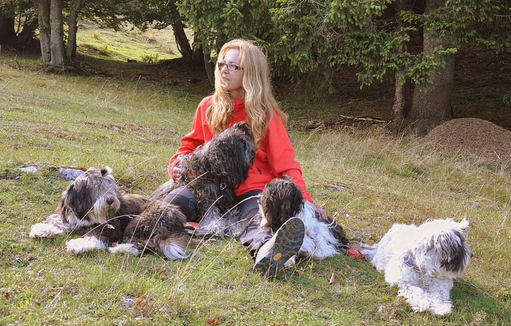 Nataša Soriška planina