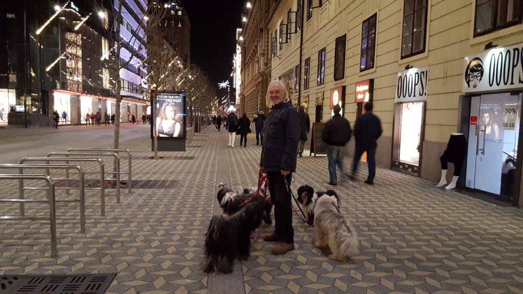 Ljubljana dec 2015 3