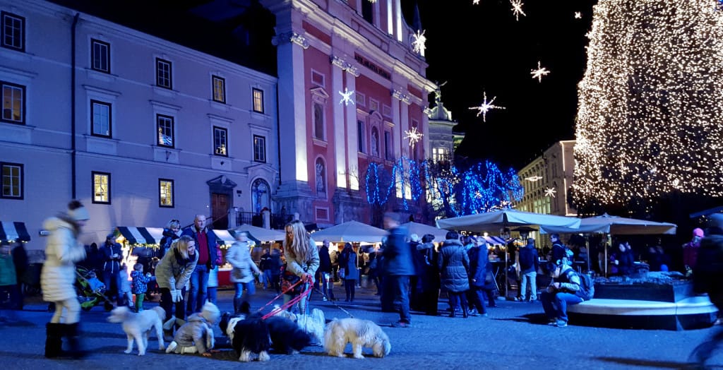 Ljubljana dec 2015 4