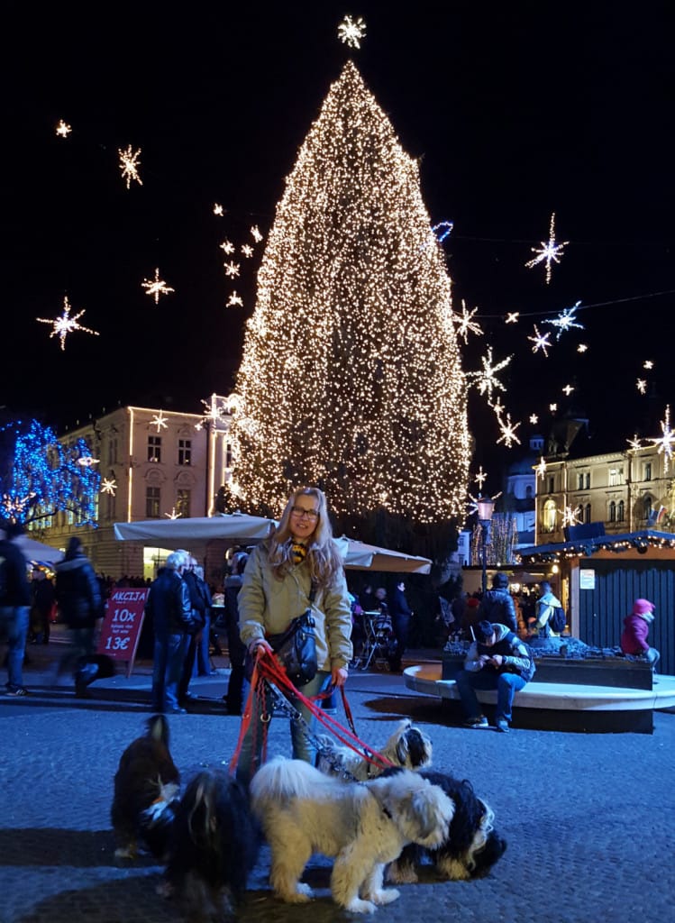 Ljubljana dec 2015 5