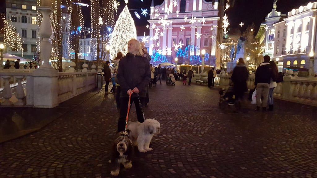 Ljubljana dec 2015 6