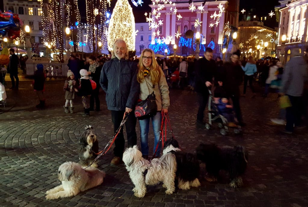 Ljubljana dec 2015 7