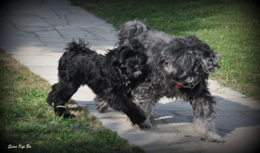 Dali in Titi sept 16