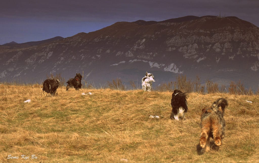 Vremščica nov 2016