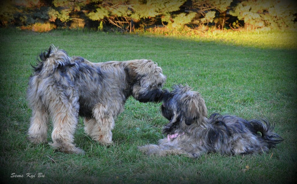 don-in-dami-lokev-11-16